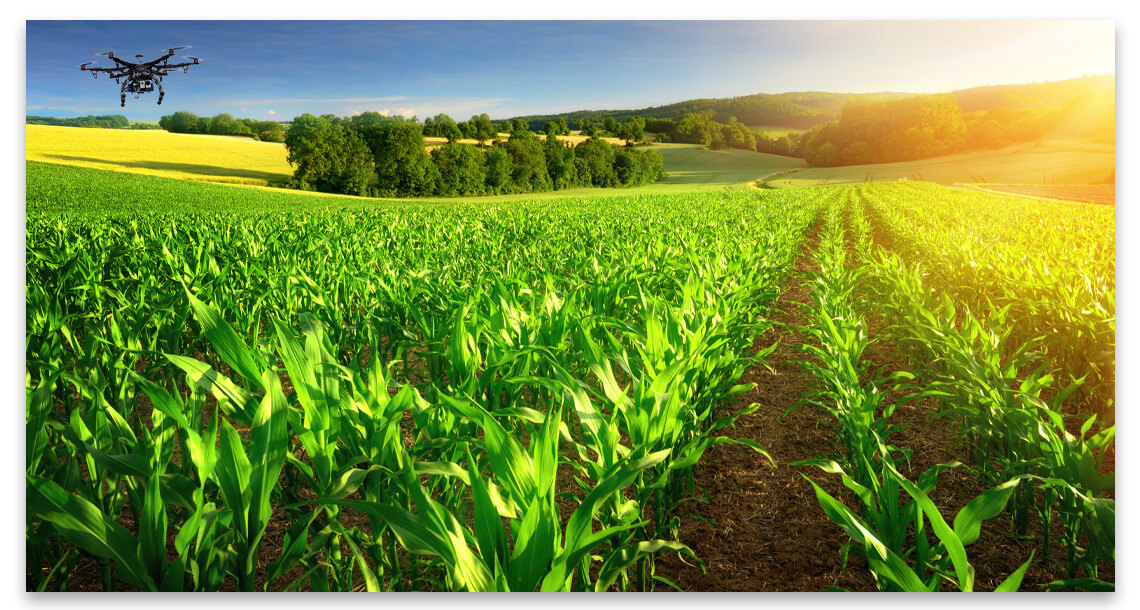 Land Auctions Iowa Cropland Management LandProz Real Estate LLC